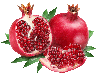 Indian Council of Agricultural Research (ICAR) - National Research Center on Pomegranate (NRCP), Solapur |भारतीय कृषि अनुसंधान परिषद (भा. कृ. अनु. प.) - राष्ट्रीय अनार अनुसंधान केंद्र, सोलापुर
